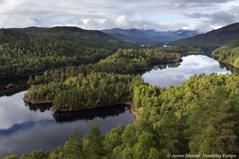 Glen Affric from the air